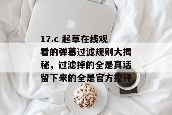 17.c 起草在线观看的弹幕过滤规则大揭秘，过滤掉的全是真话留下来的全是官方控评